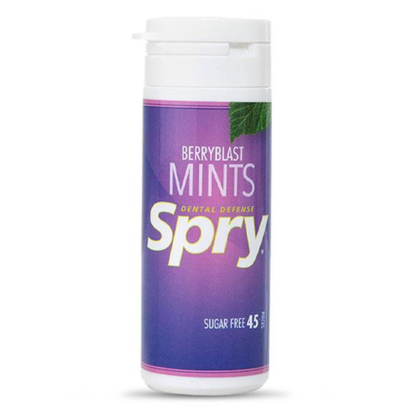 Spry Xylitol Mints - Berryblast - 45ct